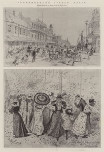 Johannesburgo otra vez